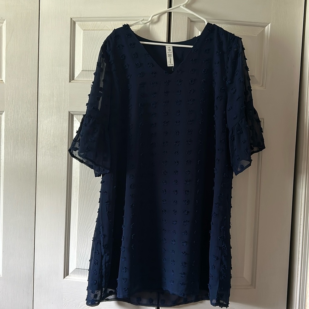 NWOT Navy Blue Swiss Dot Dress